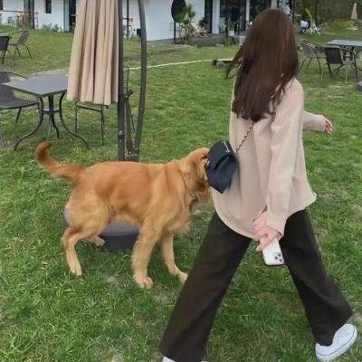 心有灵犀 海报